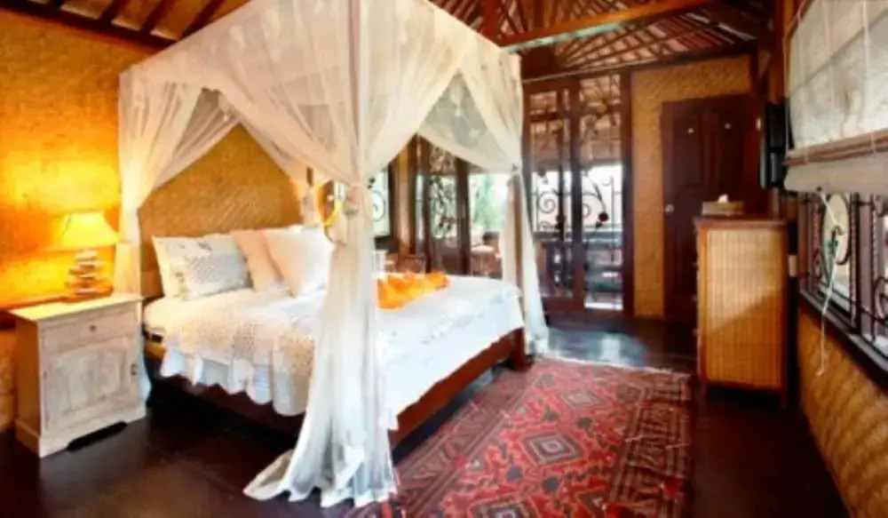 Hyacinth House