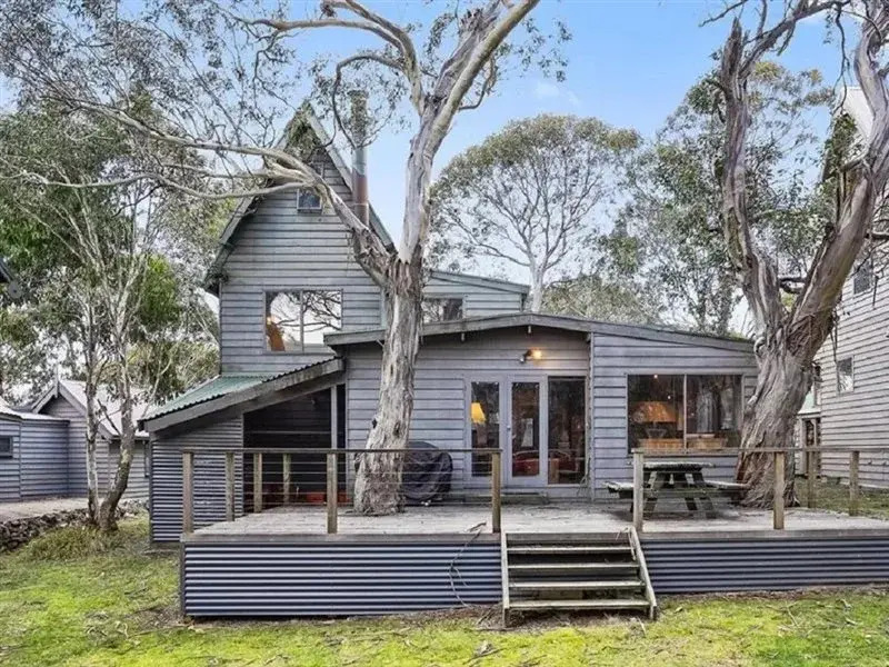 Ironbark