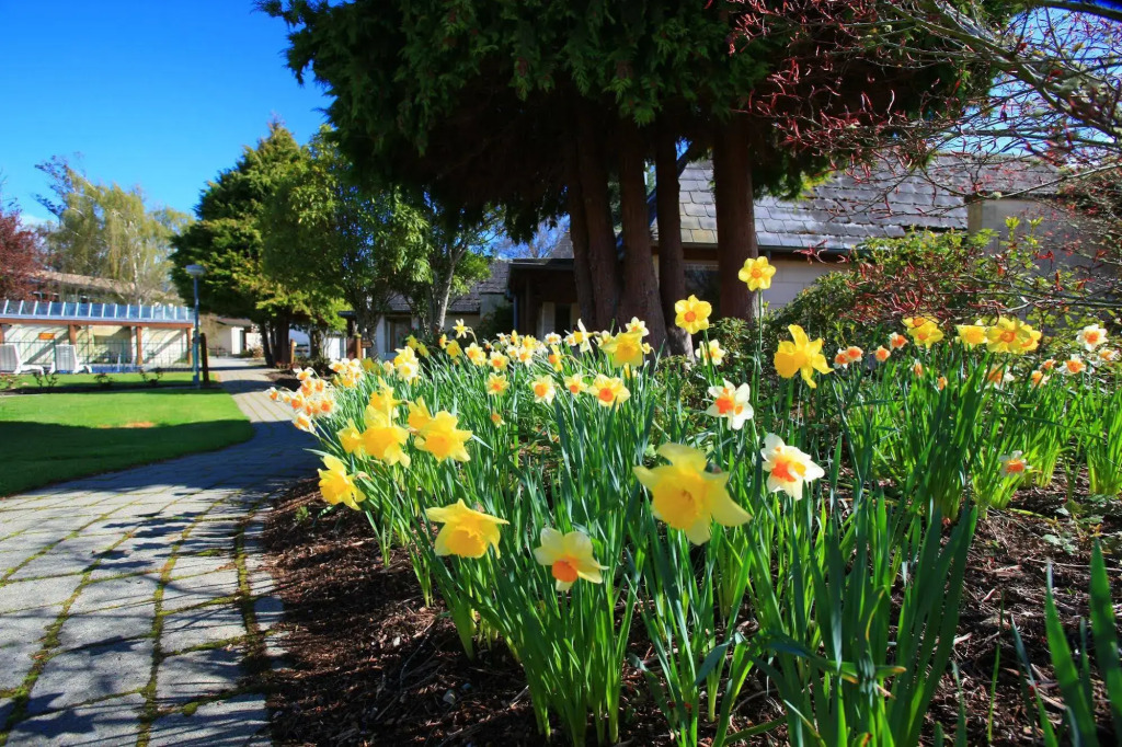 Distinction Te Anau Hotel & Villas