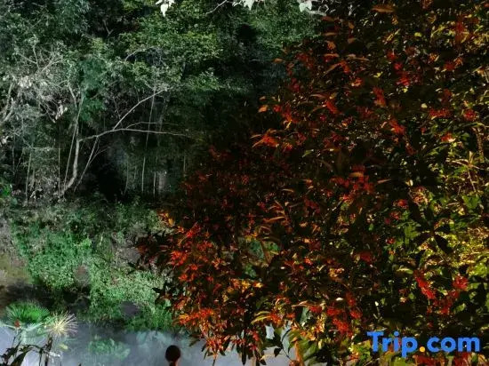 Wuyishan Six Shang · Waterfront Mountains and Beautiful Stays