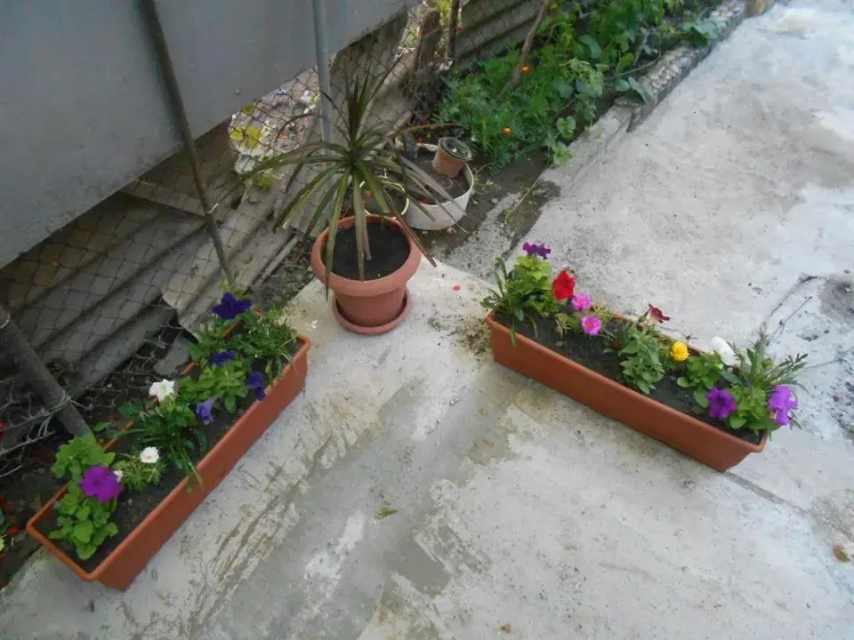 Guesthouse on Benashvili