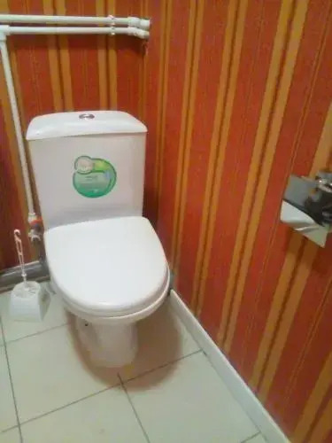 Hostel Green House on Dostoyevskaya