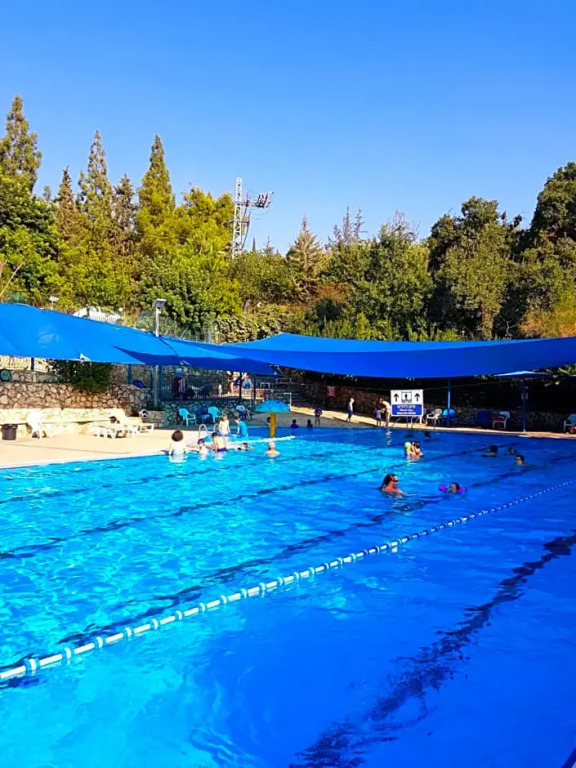 Blooms Studio הסטודיו של בלום