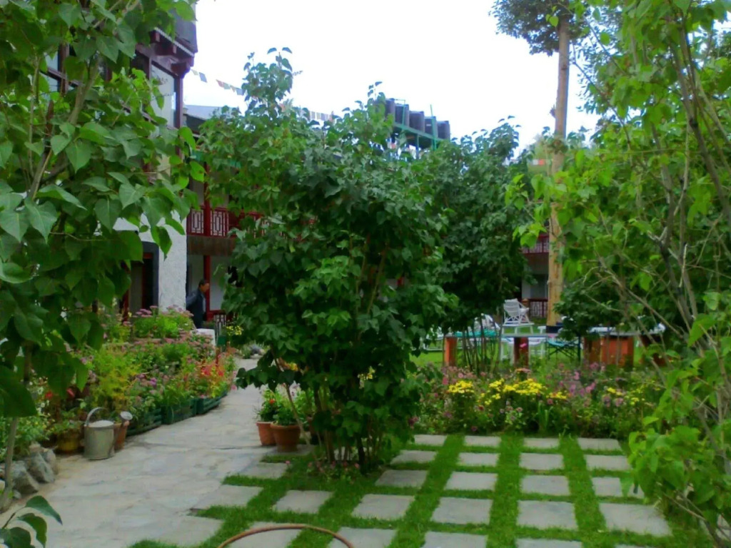 Hotel Shambhala