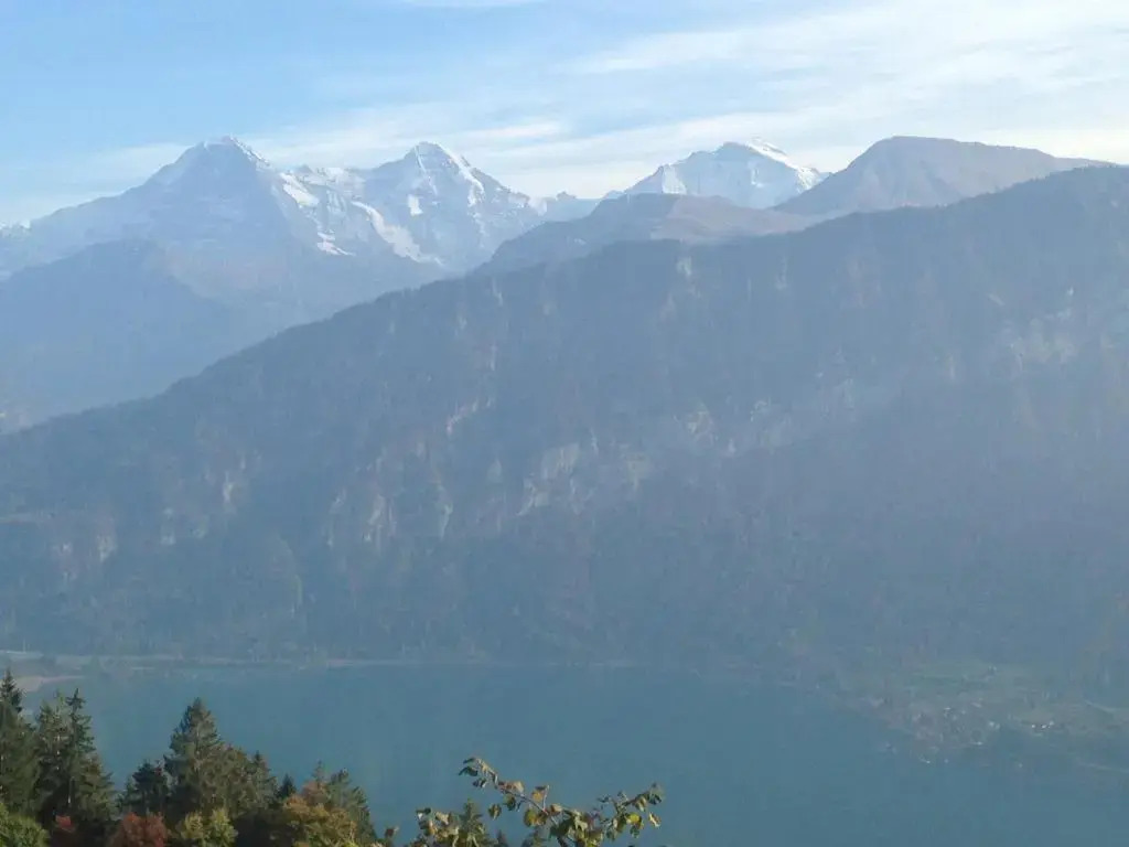 App. Seeblick Top of Interlaken