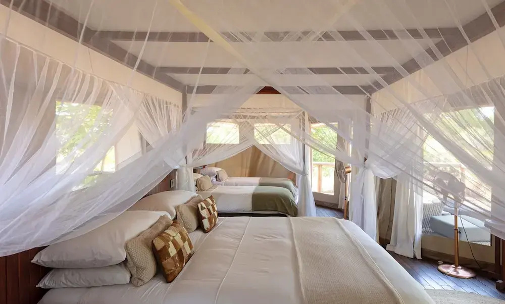 Ila Safari Lodge