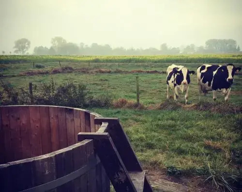 Dijkhuisje