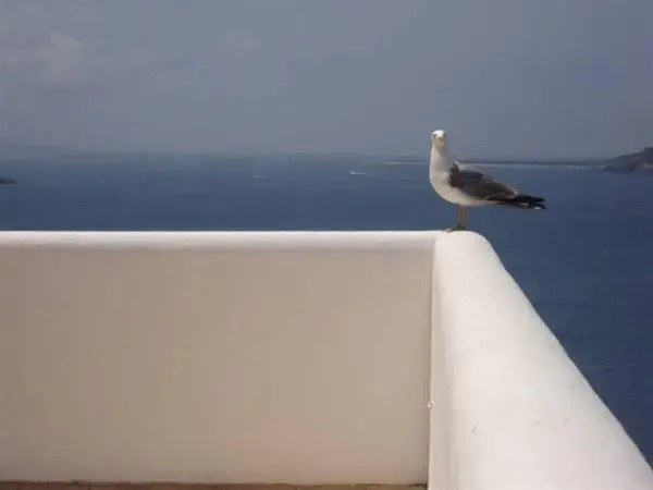 Hostal Marblau Ibiza