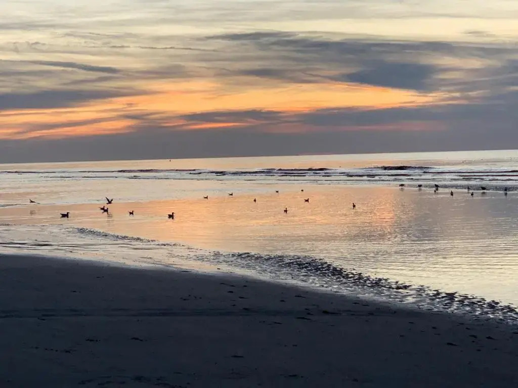 Huisjes aan zee