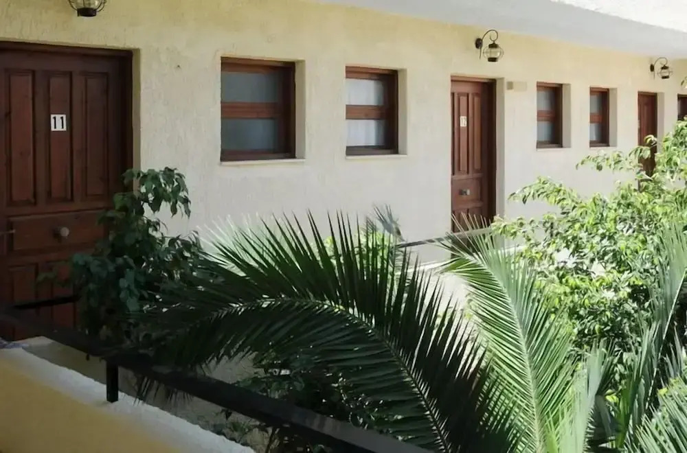 Senia Studios
