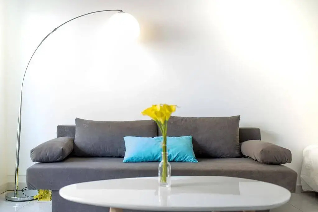 A flat in Cannes