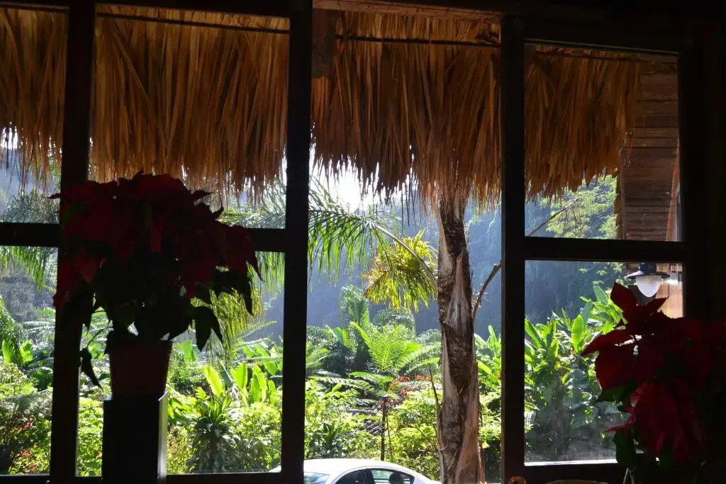 La Jicarita Eco Hotel