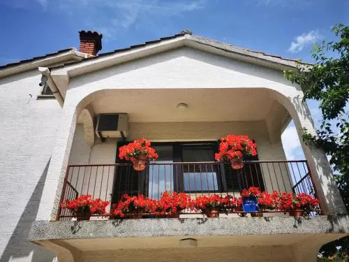 Apartman Žic