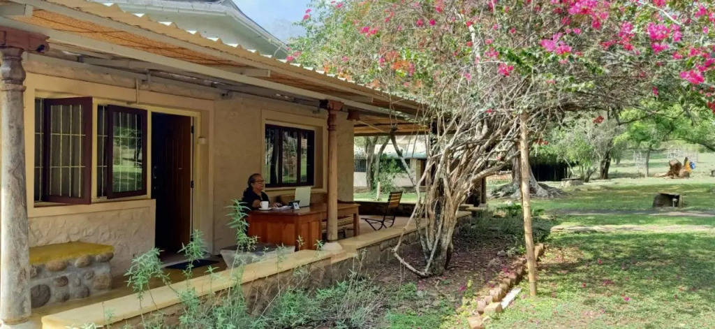 Jungle Hut Resort