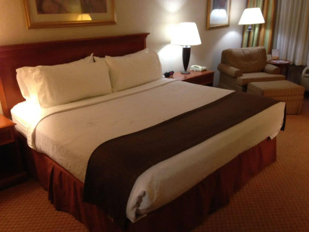 Holiday Inn Canton (Belden Village) by IHG
