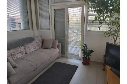 Apartments Branka