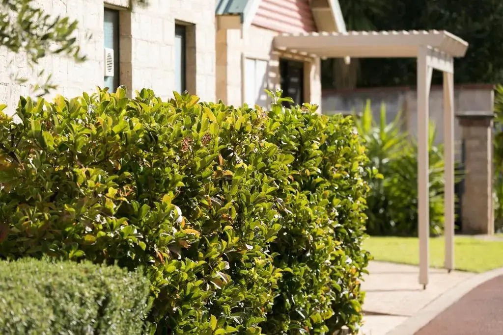 Amalfi Resort Busseltons Best Kept Secret