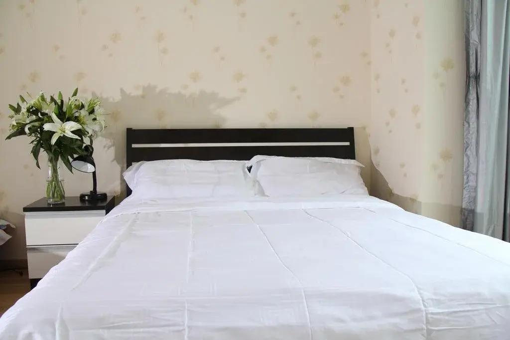 Qianbaihui Apartment Zhongguancun