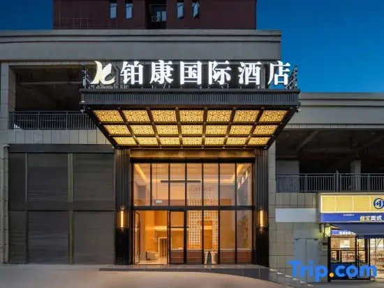 Platinum International Hotel