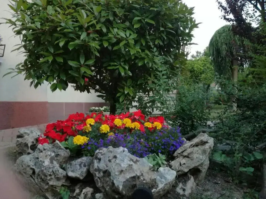 B&B Morosini