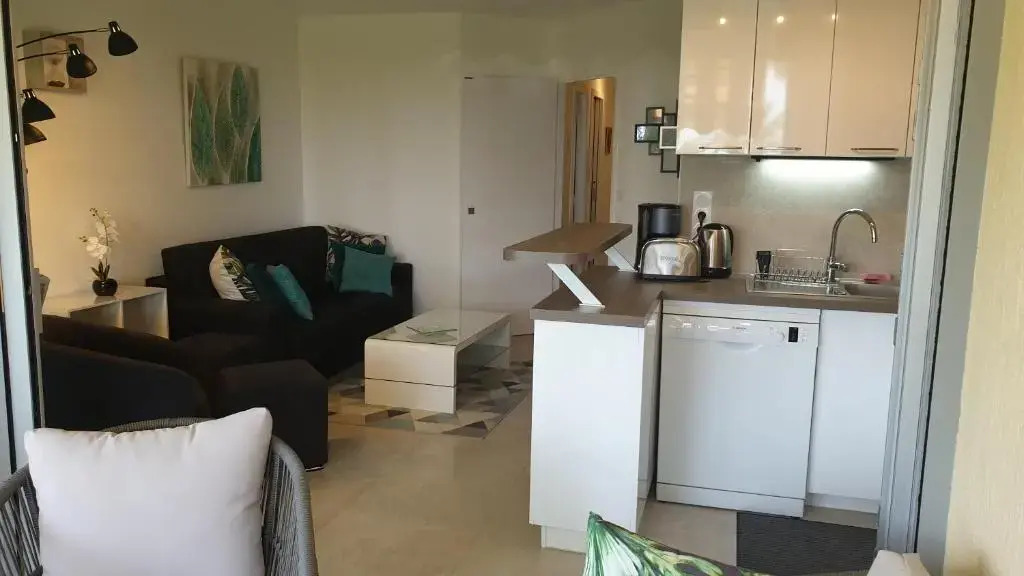 Garden and beach sea view apartment Cannes
