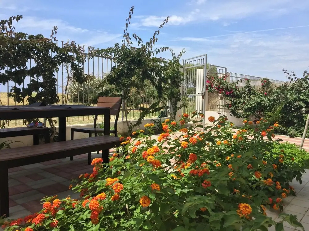 Roseto Beach Club Apartment With Garden Beach Front
