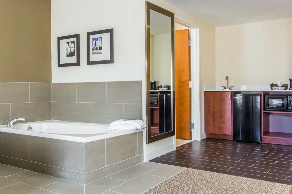 Comfort Inn & Suites Macon West