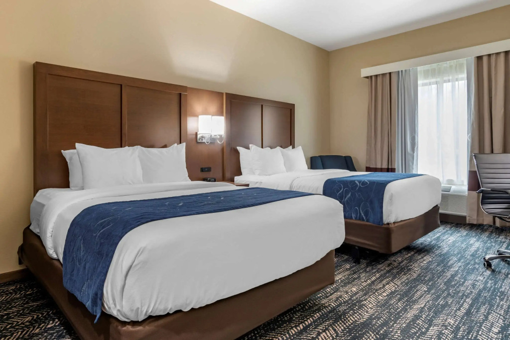 Comfort Inn & Suites Downtown near University