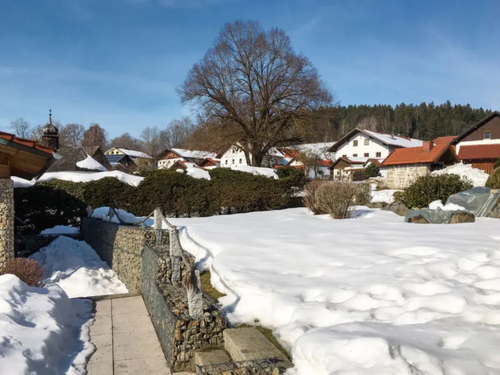 House  Bischofsmais 13782