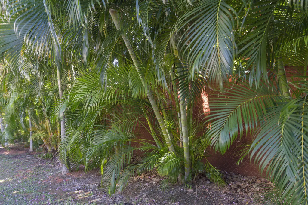 Broome Beach Resort