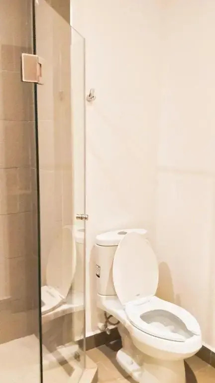 Tastefully Appointed 1 BR Apartment in Polanco