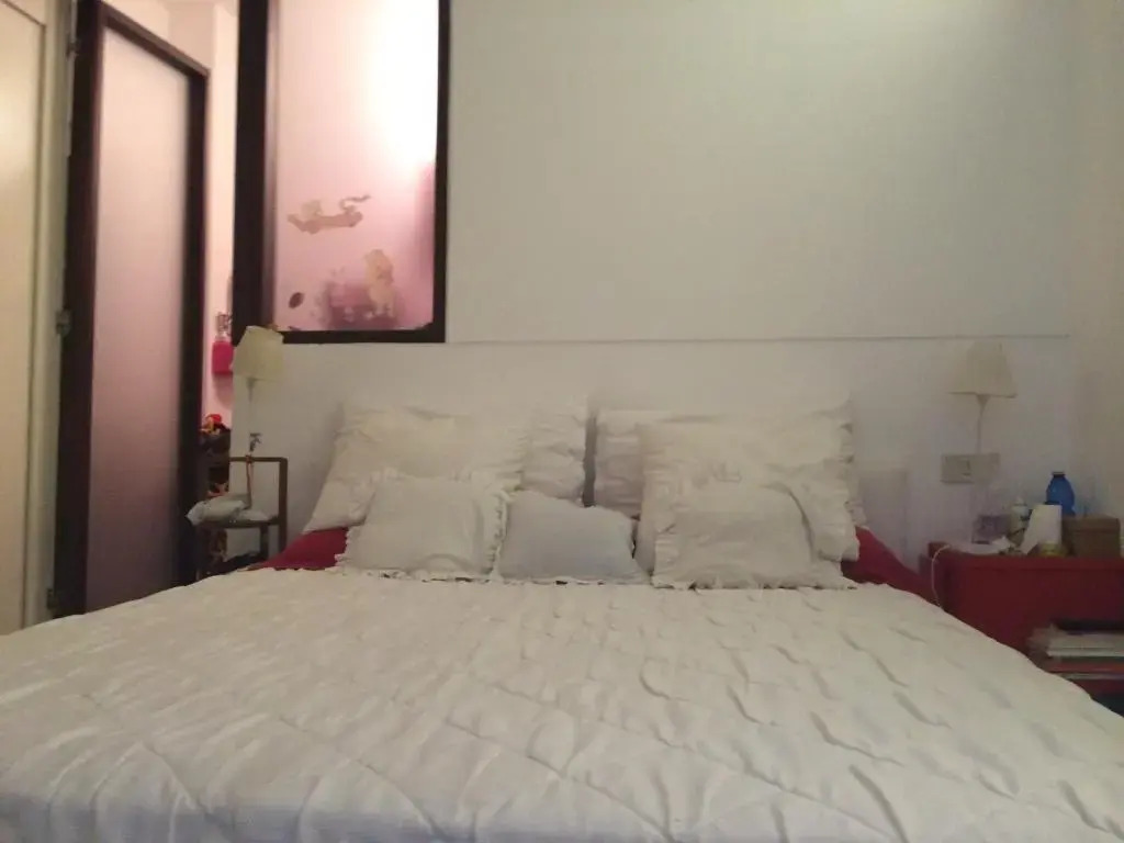 Big and Bright Flat in the Heart of Trastevere