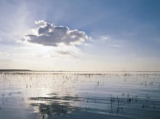 Les Écolodges de la Baie de Somme