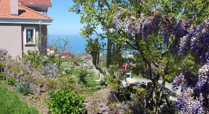 Kral Villa