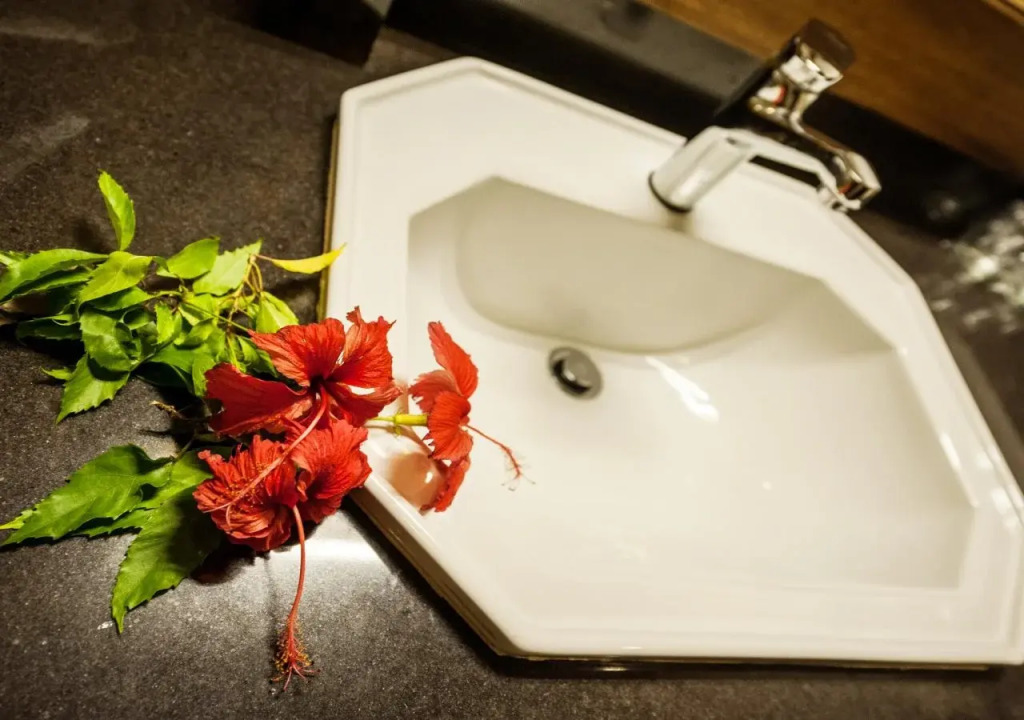 Red Hibiscus Hotel