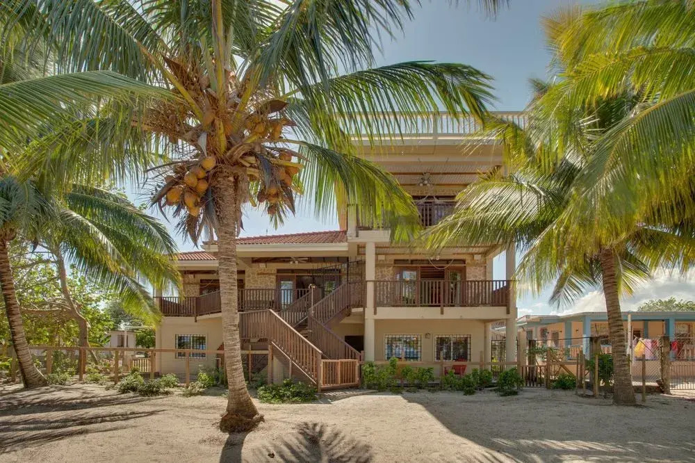 Buttonwood Belize