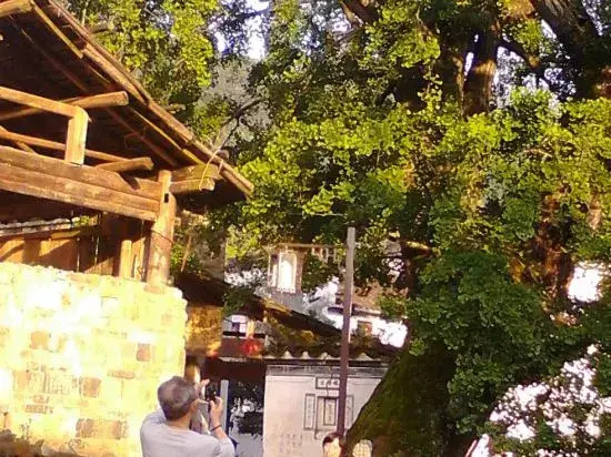Qingyuanrenjia Inn