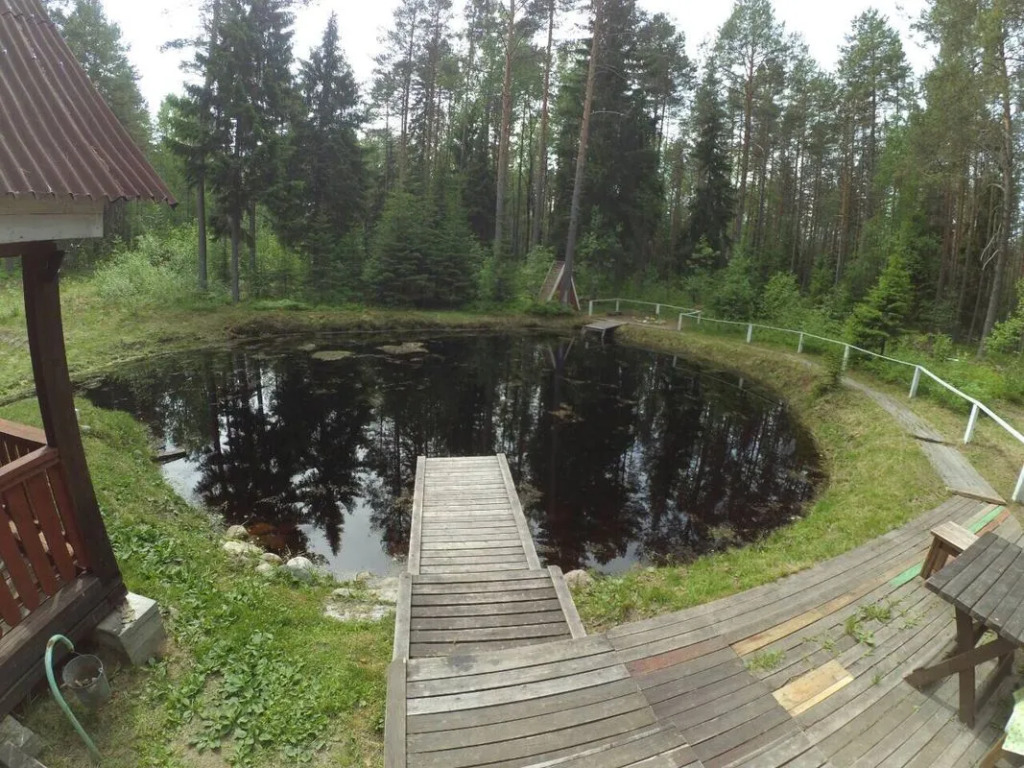 Sjamozero