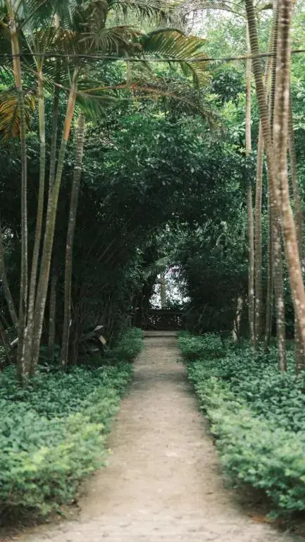 Yen Bai Resort