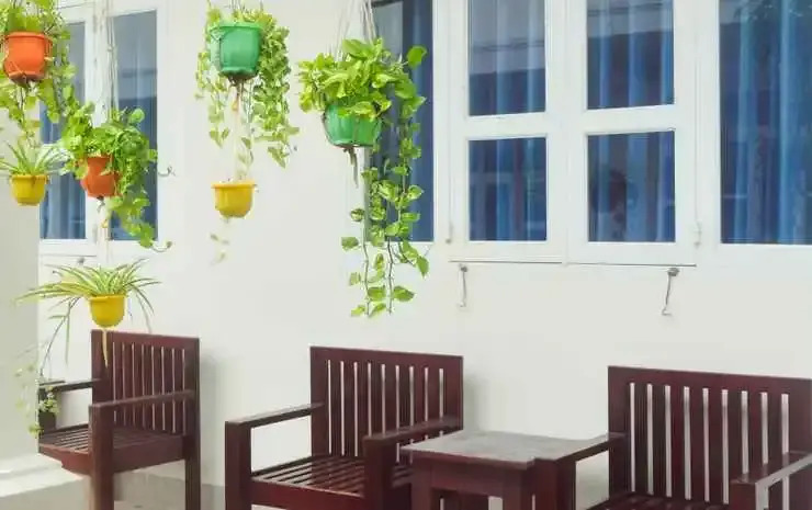 Đồi Dừa Homestay