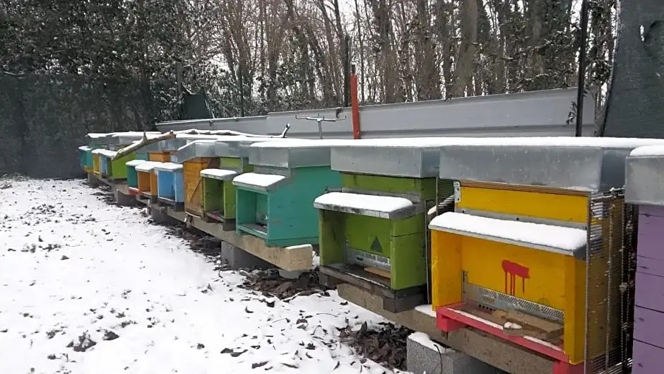 B&B Honey Farm
