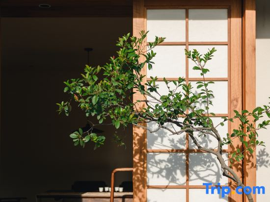 Wuyishan Minpin Aesthetic Space B&B
