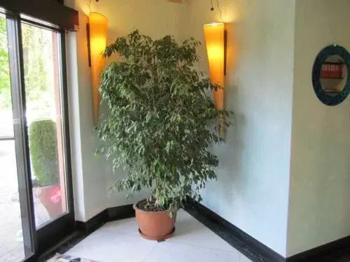Hotel Garni Alba