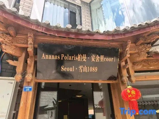 nanas Polaris Barman & Ansheli Coor | Seoul · Snow Mountain 1089