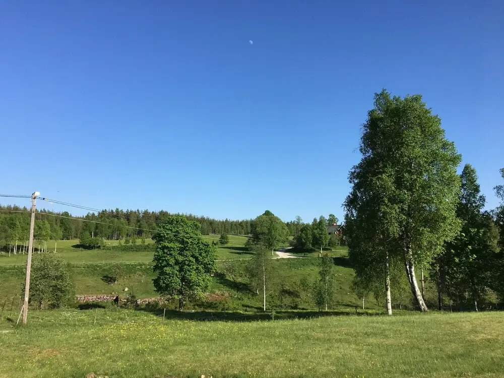 Nyfors Handel & Rum