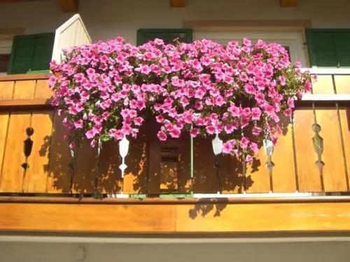 Pension Alpenblick