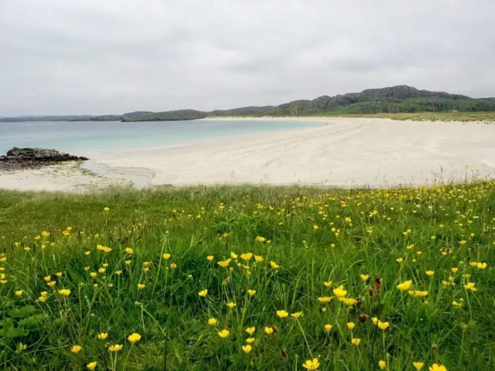 Taigh Tharmoid Ruaidh
