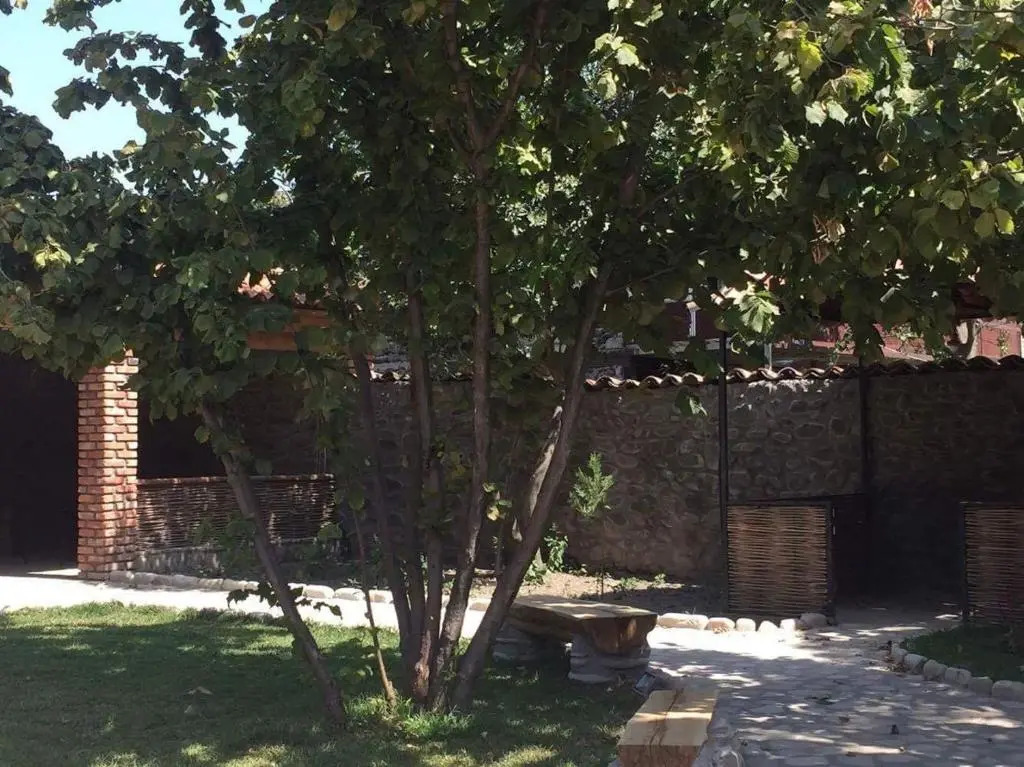 Hotel Kavkasioni