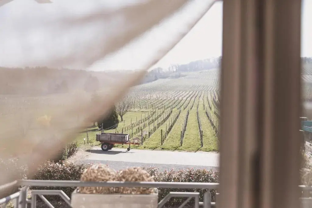 Weingut Gehlen-Cornelius
