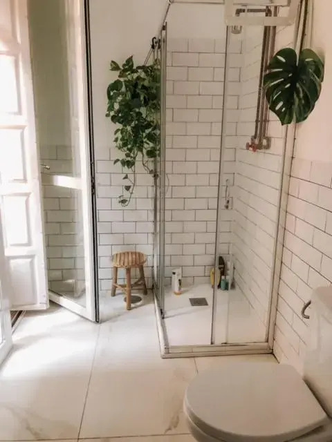 The Urban Jungle Hostel